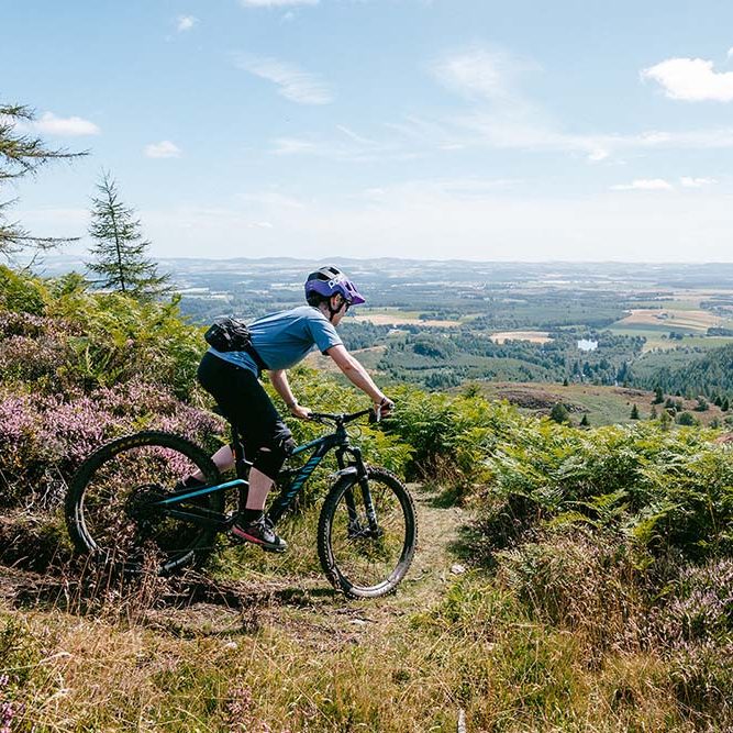 Tay Forest Park Cycling