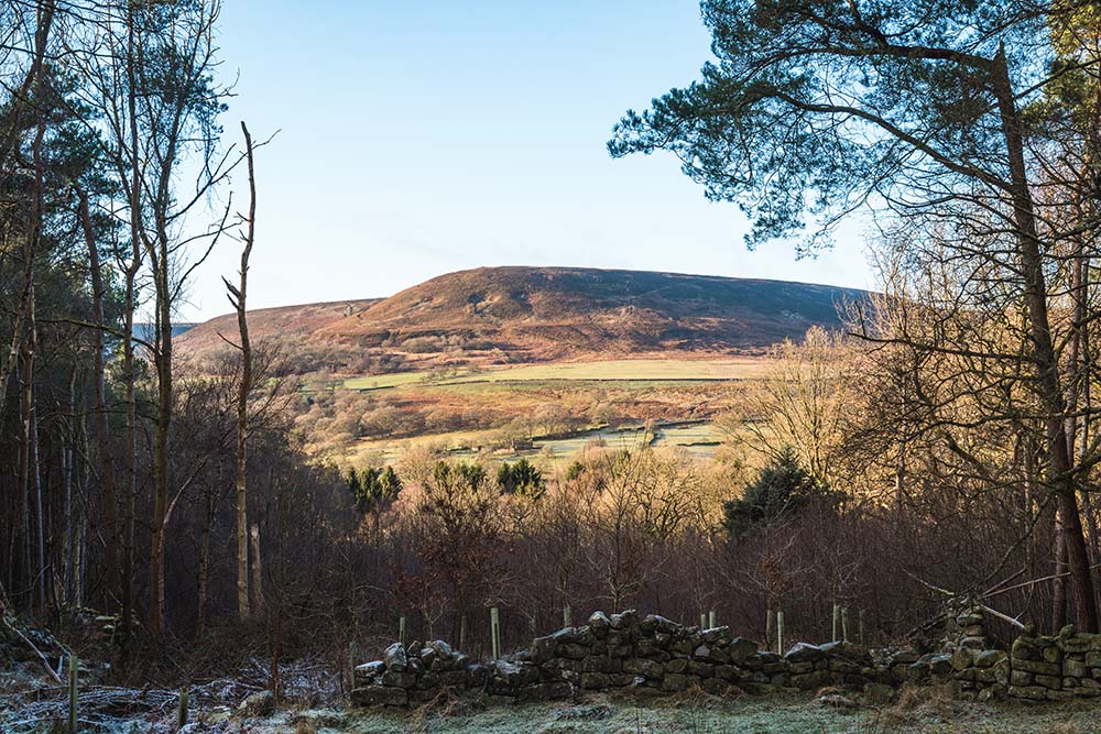 Hawnby Circular Walk