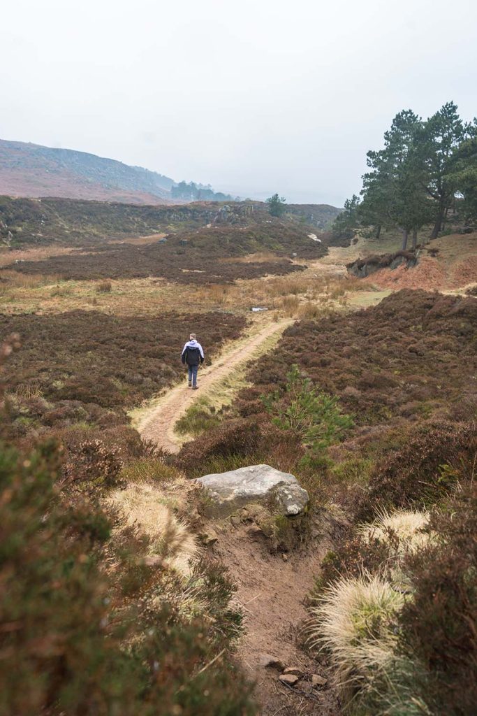 Ilkley Moor Circular