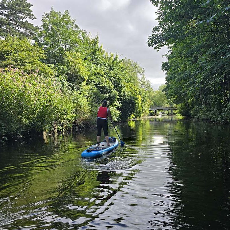 Paddleboarding through trees the River Ure from Boroughbridge to Linton