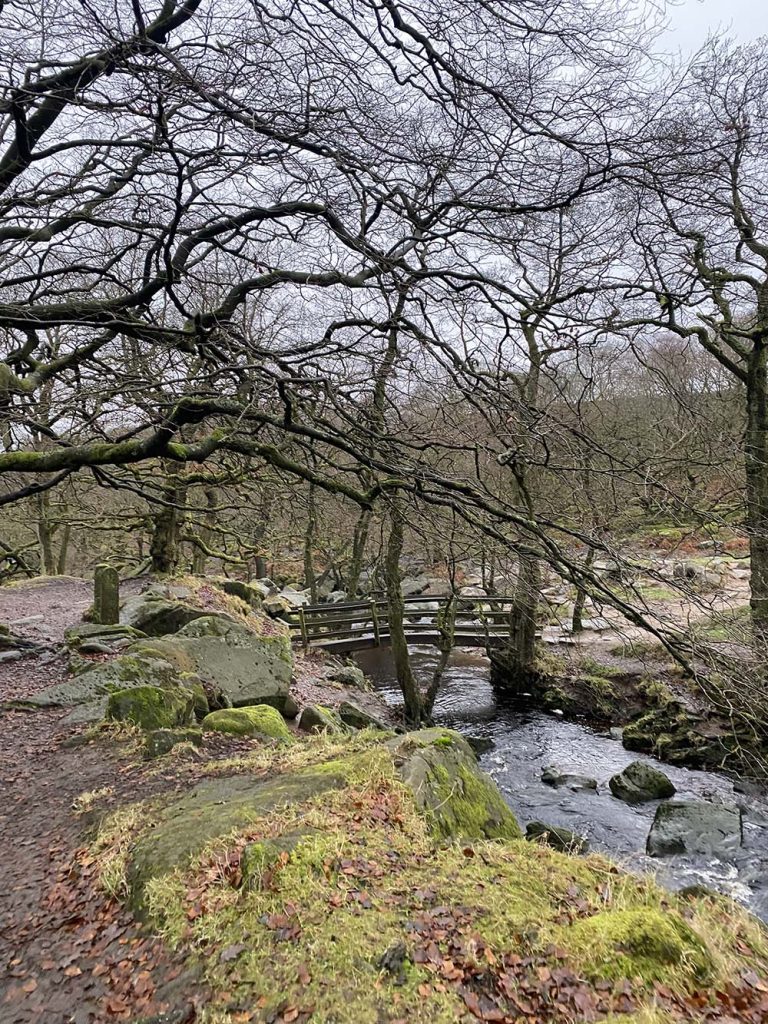 Padley Gorge