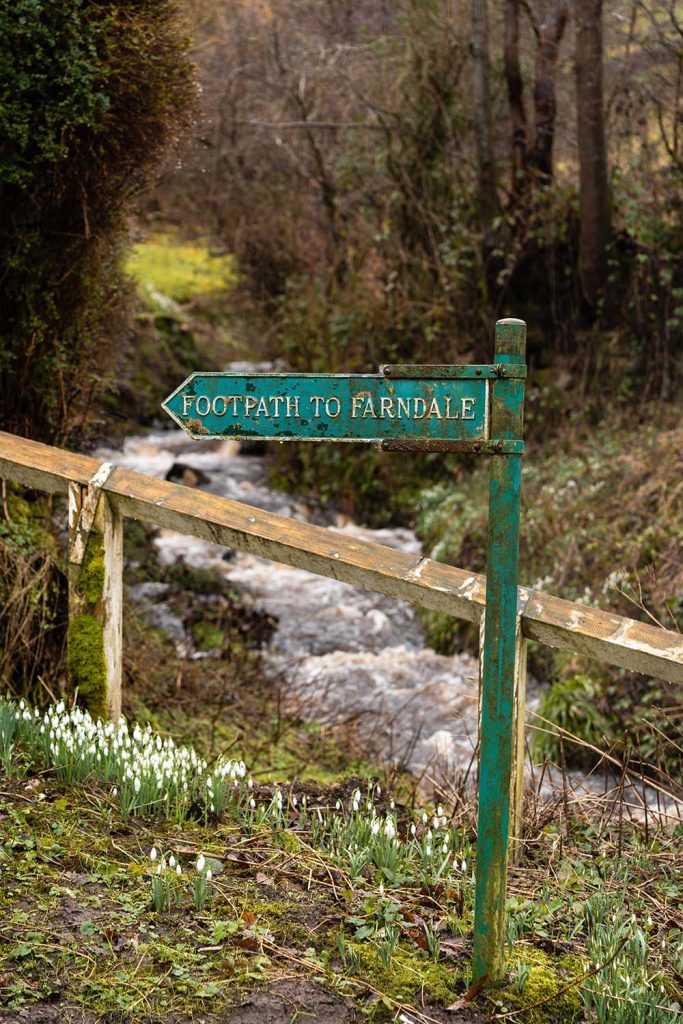 Rosedale Roasting Kilns