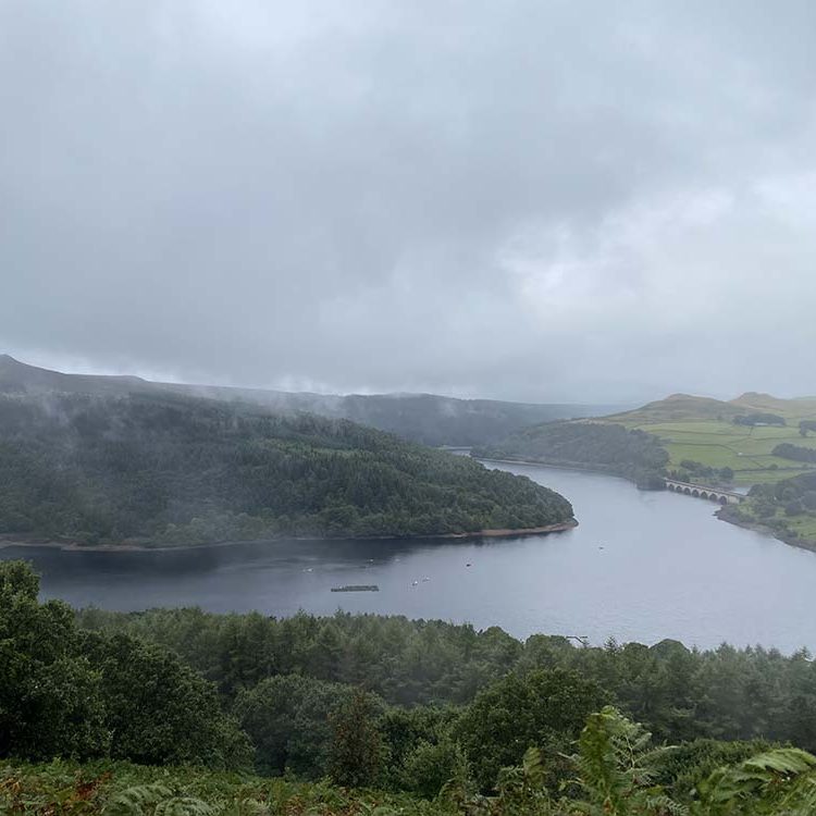 Three Edges Circular