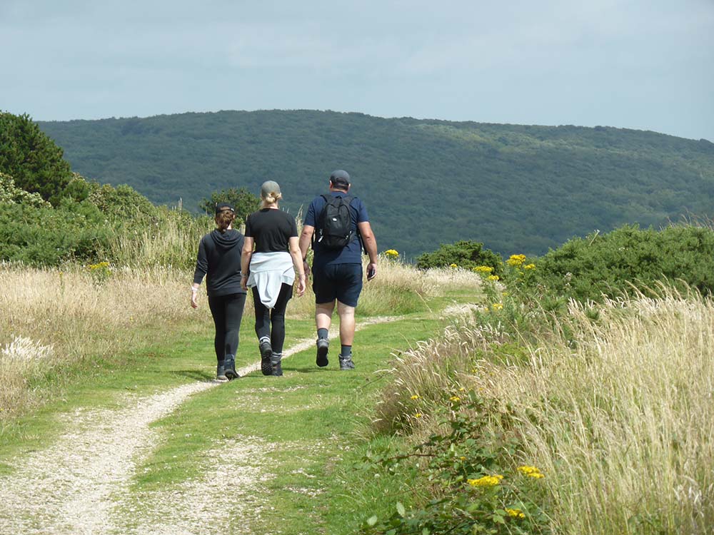 Isle of Wight Walks - walk 24 walkers on mottistone down - view e
