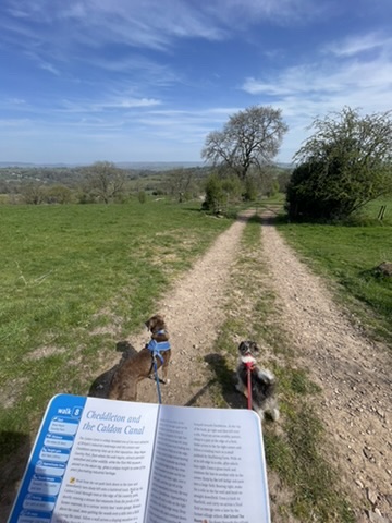 Other Book in use with Blue and Willow