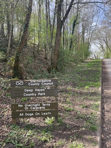 Other Deep Hayes sign