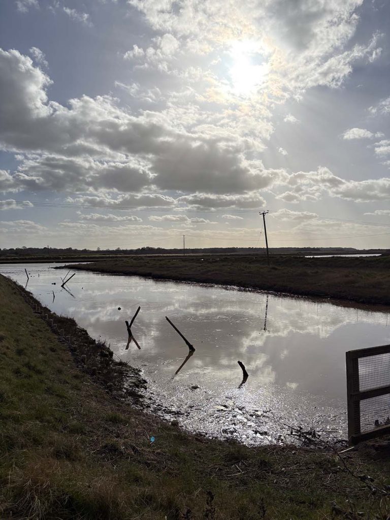Southwold Circular Walk - image 5 creek