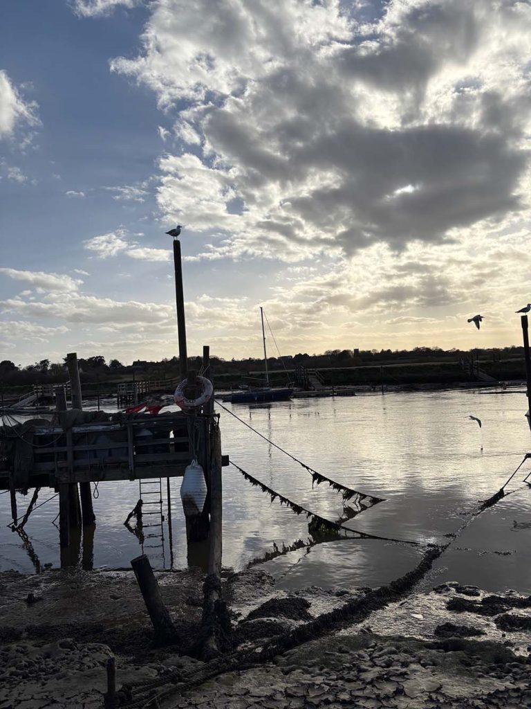 Southwold Circular Walk - image 6 harbour