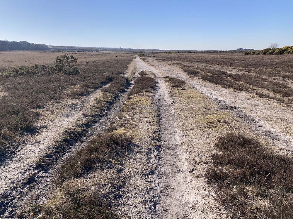 Brockenhurst circular new forest