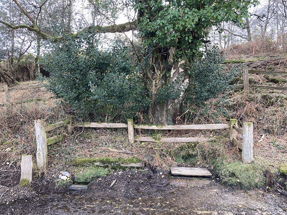 abotts well frogham