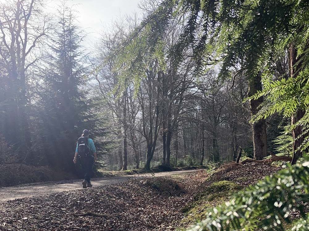 Beginner Hiking new Forest Intro