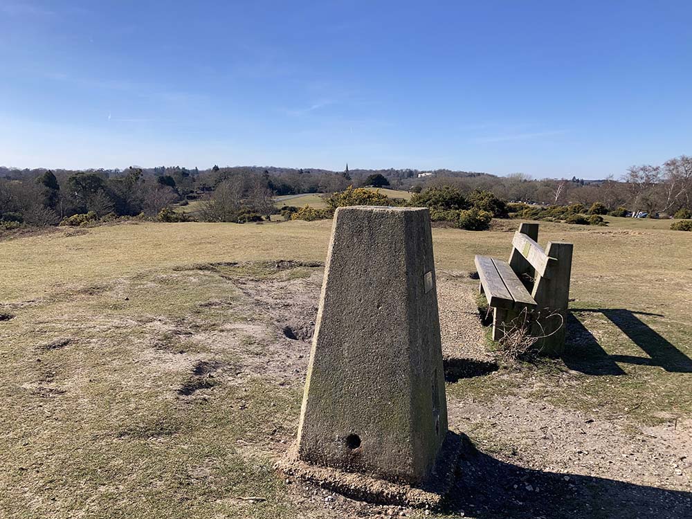 Trig Point New Forest