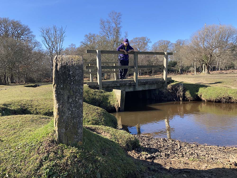Lyndhurst walk new forest