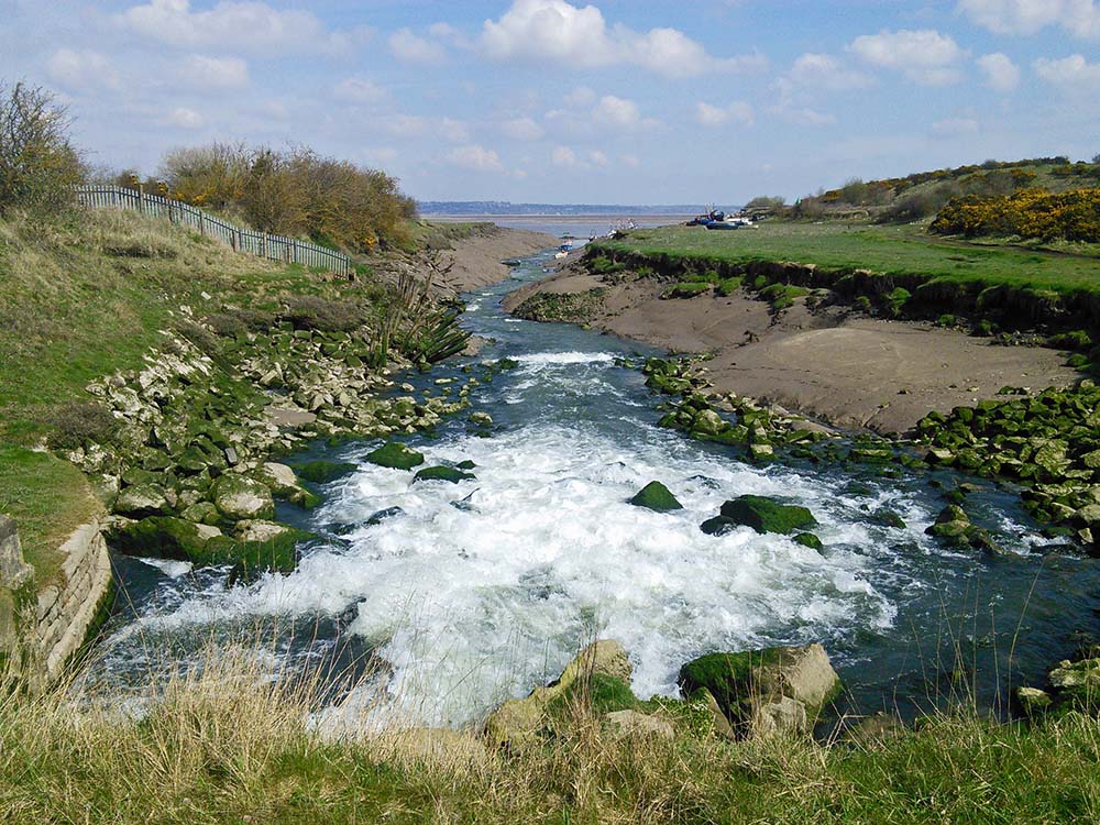 Flintshire coast marsh