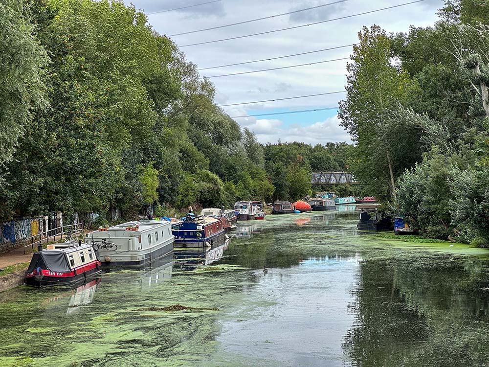 Paddling on the River Lee