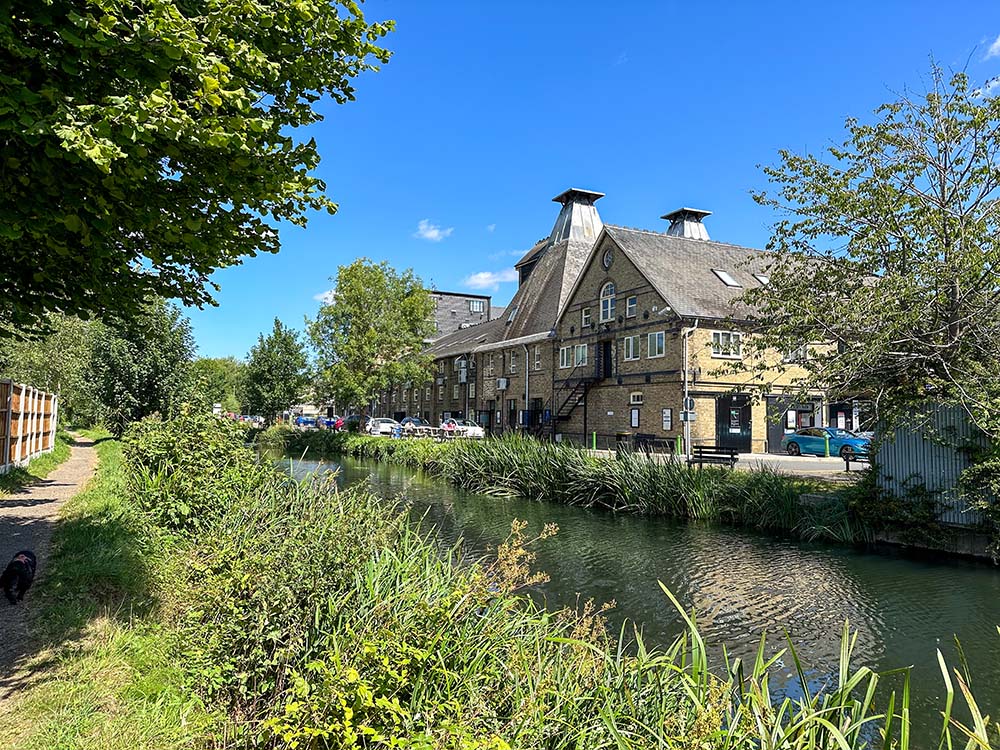 River Stort Paddleboarding