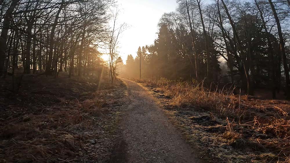 Parkend Loop Forest of Dean