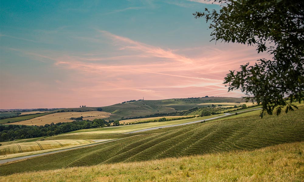 Marlborough Downs near Barbury Castle&nbsp;