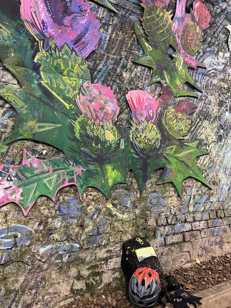 Collington Tunnel thistle mural and bike helmet
