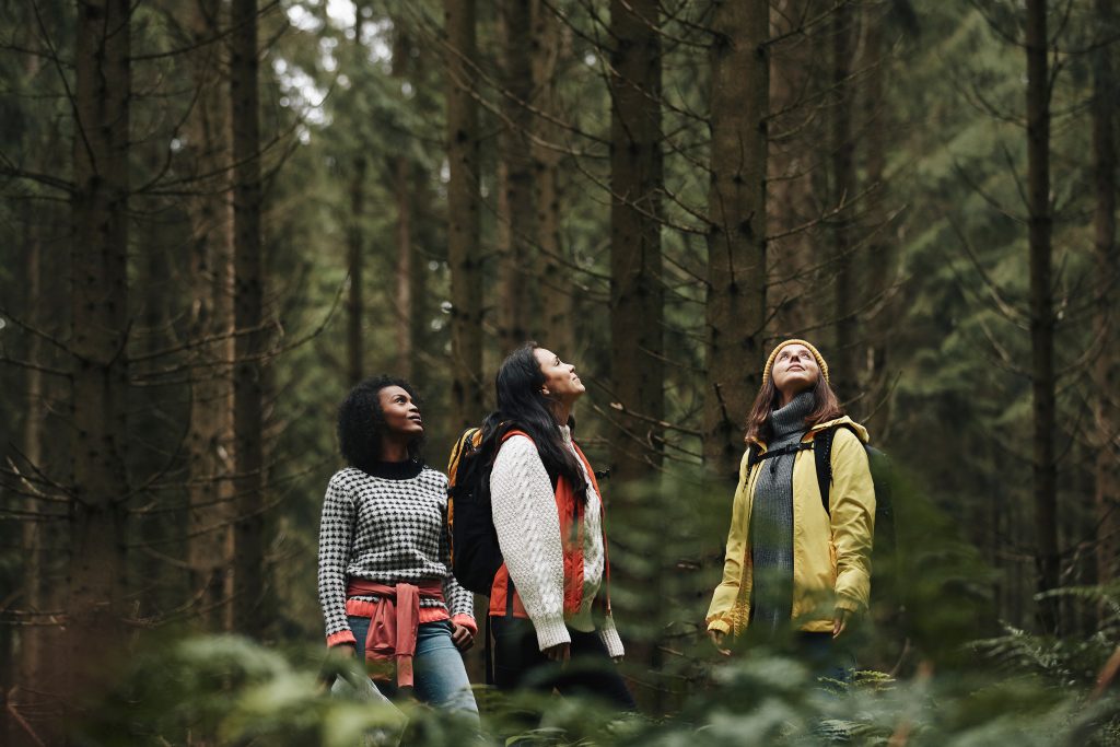 Friends admiring nature during a hike