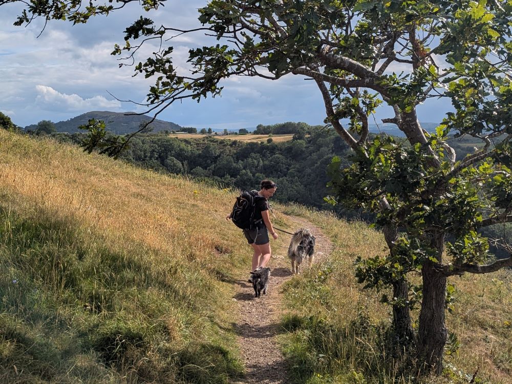 OS Content Editor Hilary Pullen with her two dogs  Hiking on the Offa's Dyke