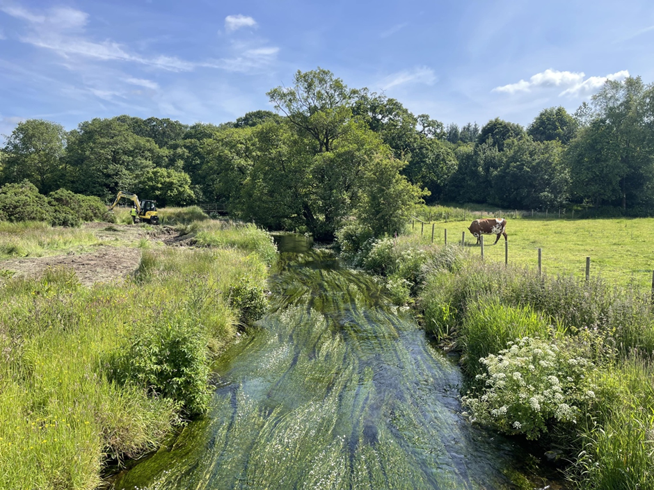 A stream running through a cow field