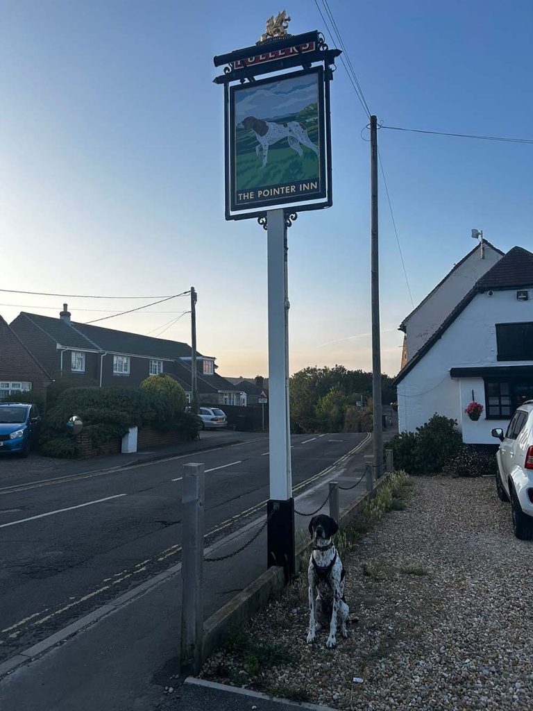 Isle of Wight Walking Guidebook Review - rocky @ pointer inn 1