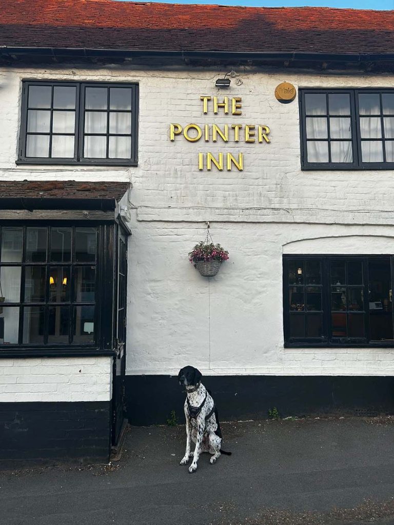 Isle of Wight Walking Guidebook Review - rocky @ pointer inn 2