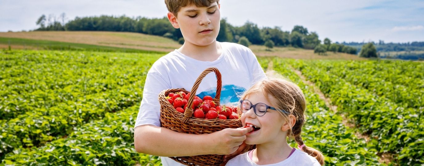 kids at a PYO Strawberry farm