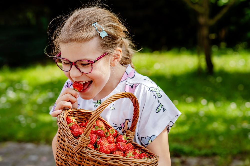 little girl eating strawberries
