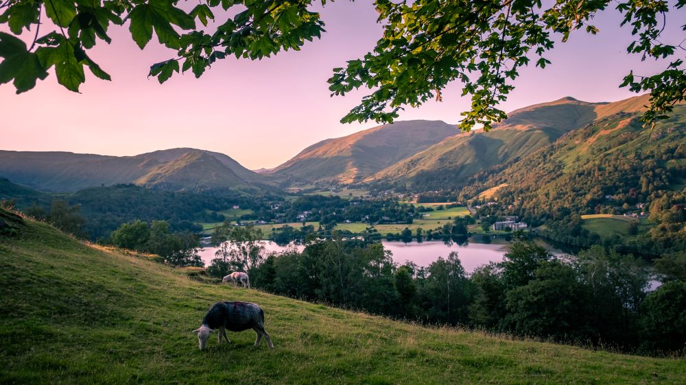 Grasmere View