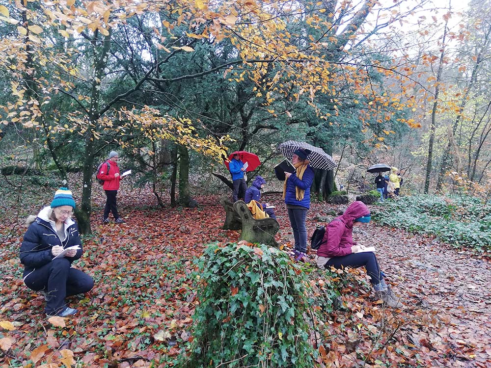 Jessica Emsley workshopswild drawing workshop serpentine woods