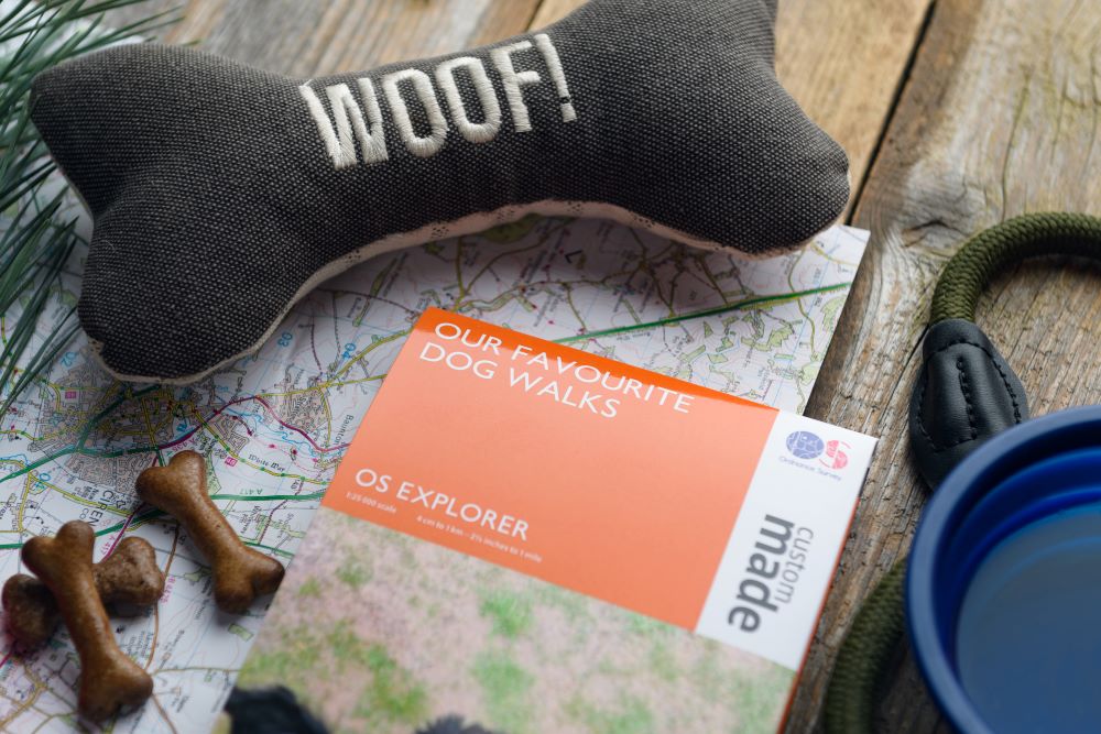 dog walking map next to a dog toy