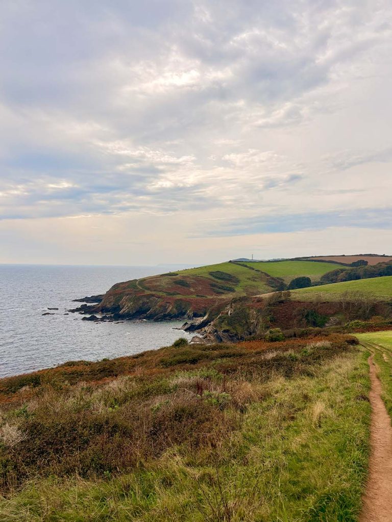A scenic view of a coastline with rolling green hills, rocky cliffs, and a calm sea under a cloudy sky.