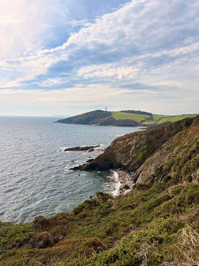 Tower of Gribbin Head