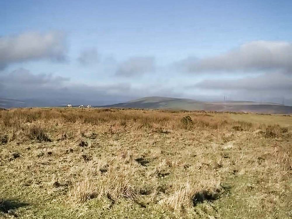 moorland and distant hills