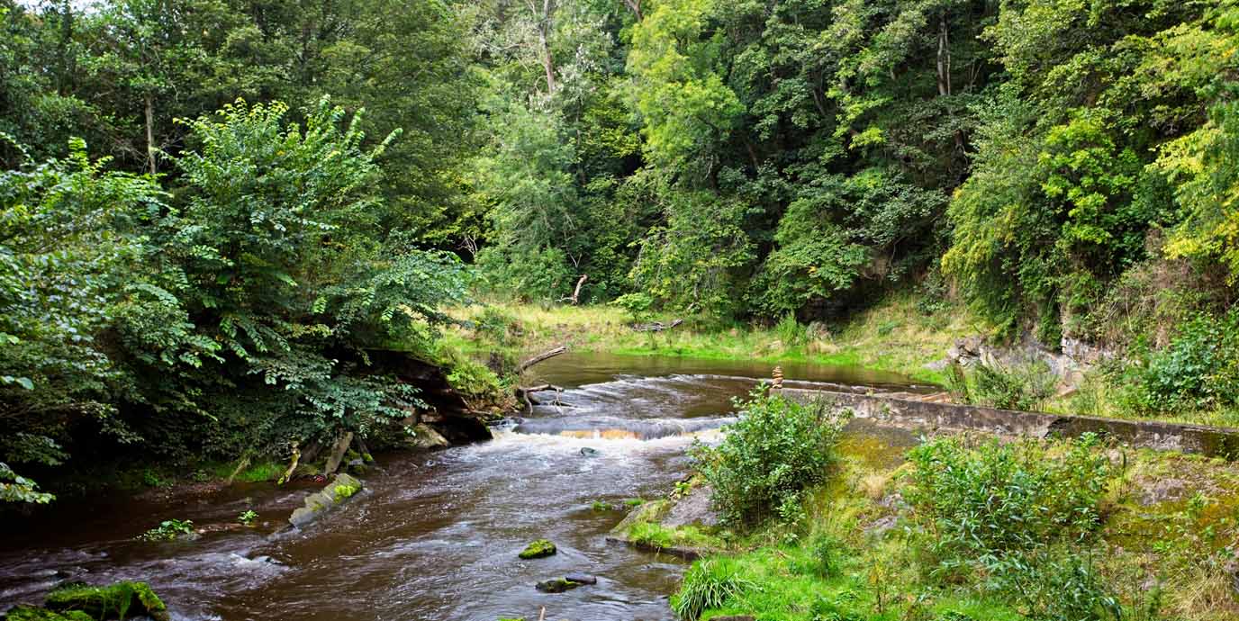 Roslin Glen Country Park