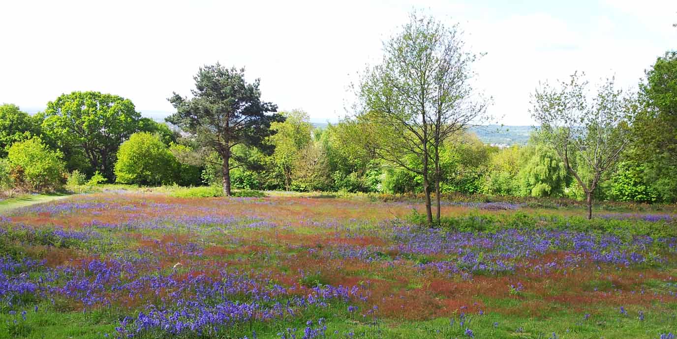 Shotover Country Park