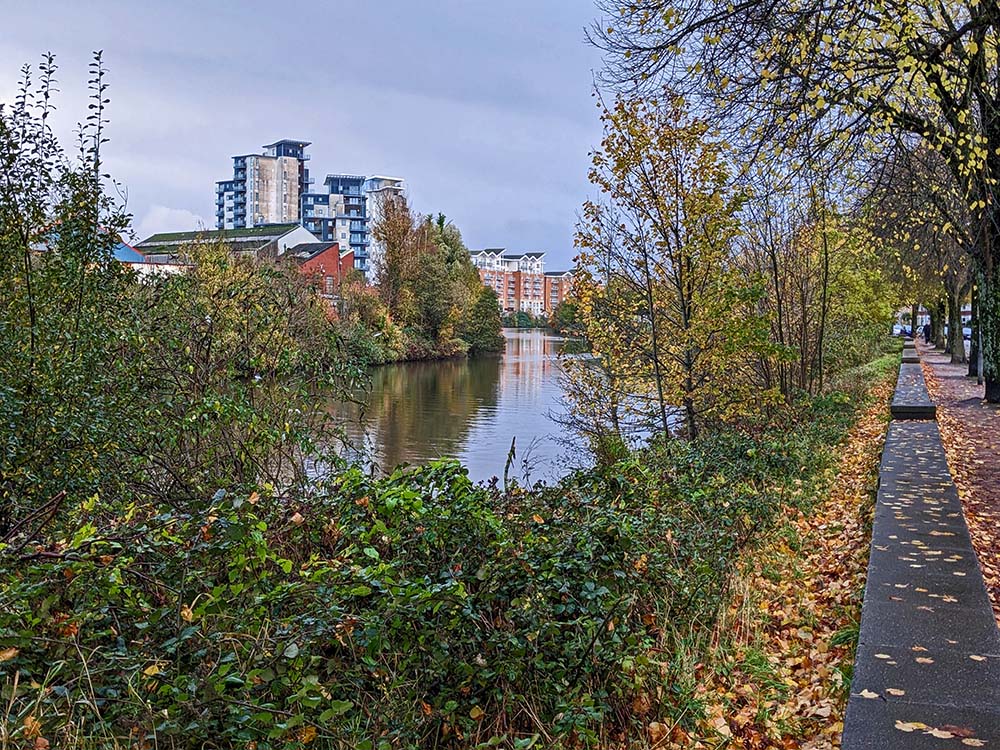River Taff through the bushes