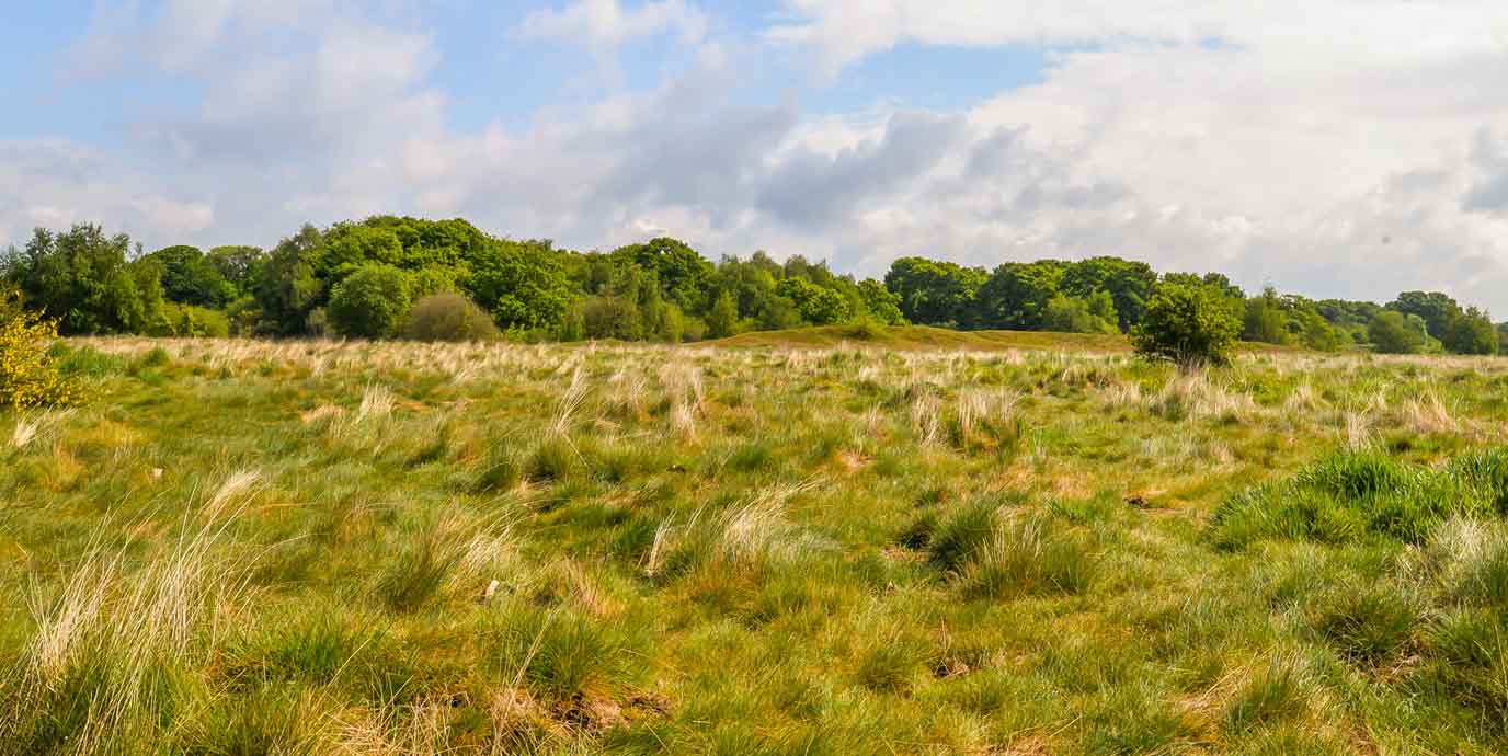 Wanstead Park and Flats