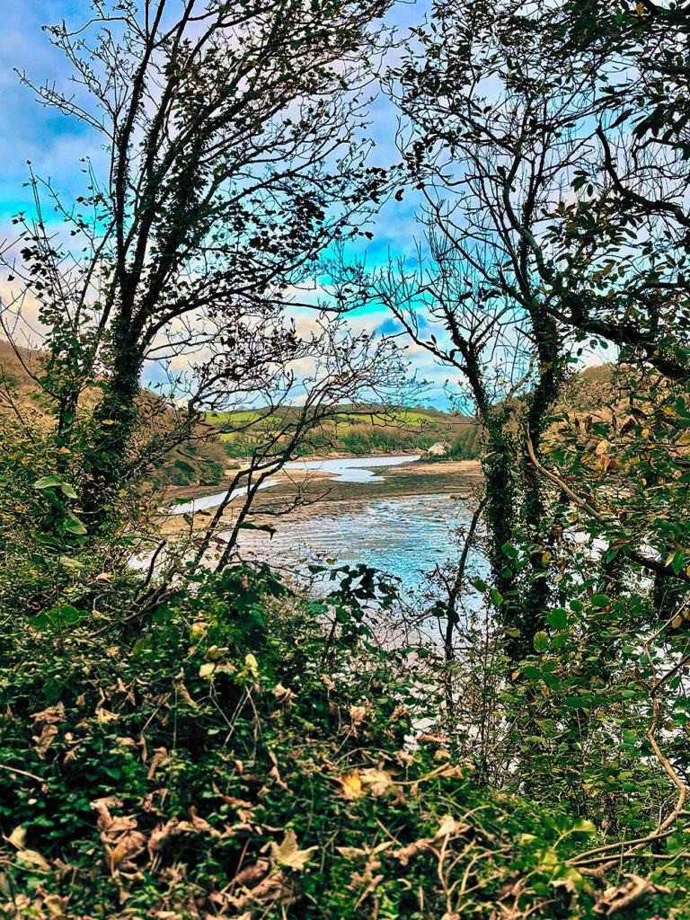 A scenic view of a river surrounded by trees and greenery, with a blue sky in the background.
