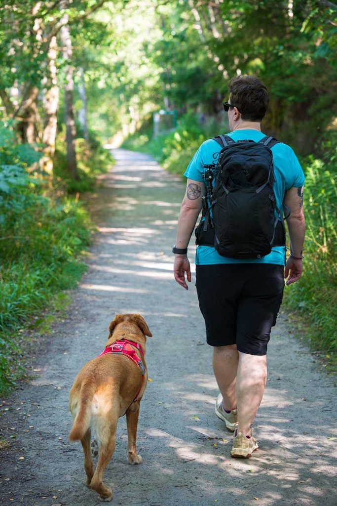 A person walking a dog along a forest path surrounded by greenery.