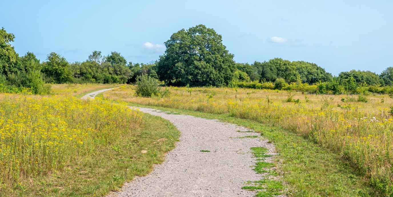 River Hamble Country Park