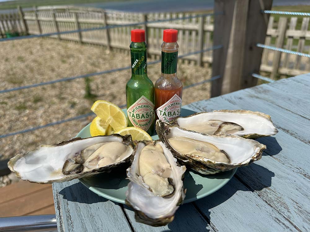 oysters on Islay