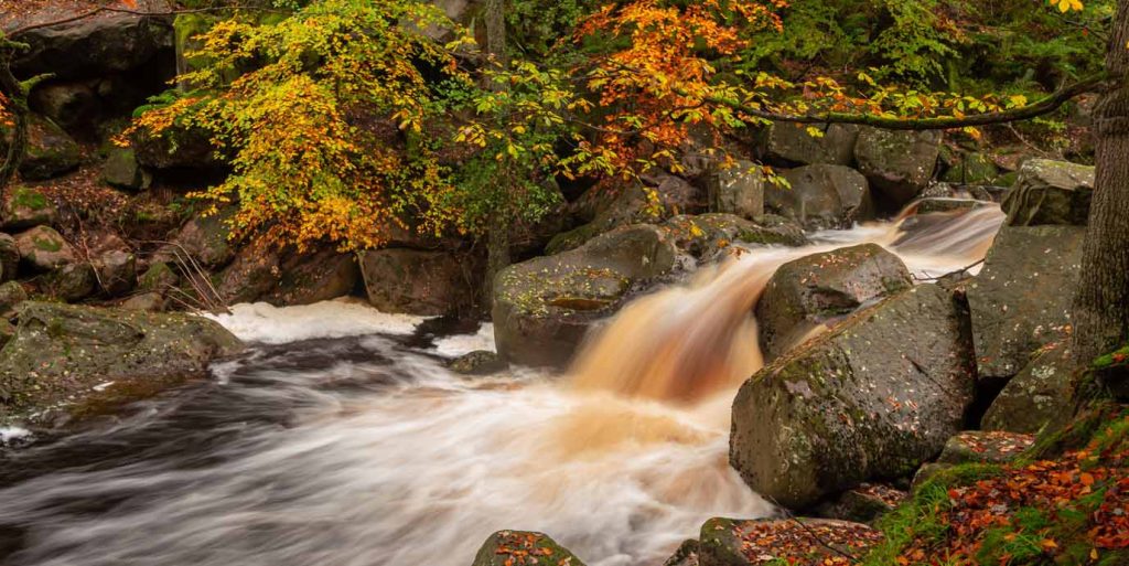 Padley Gorge