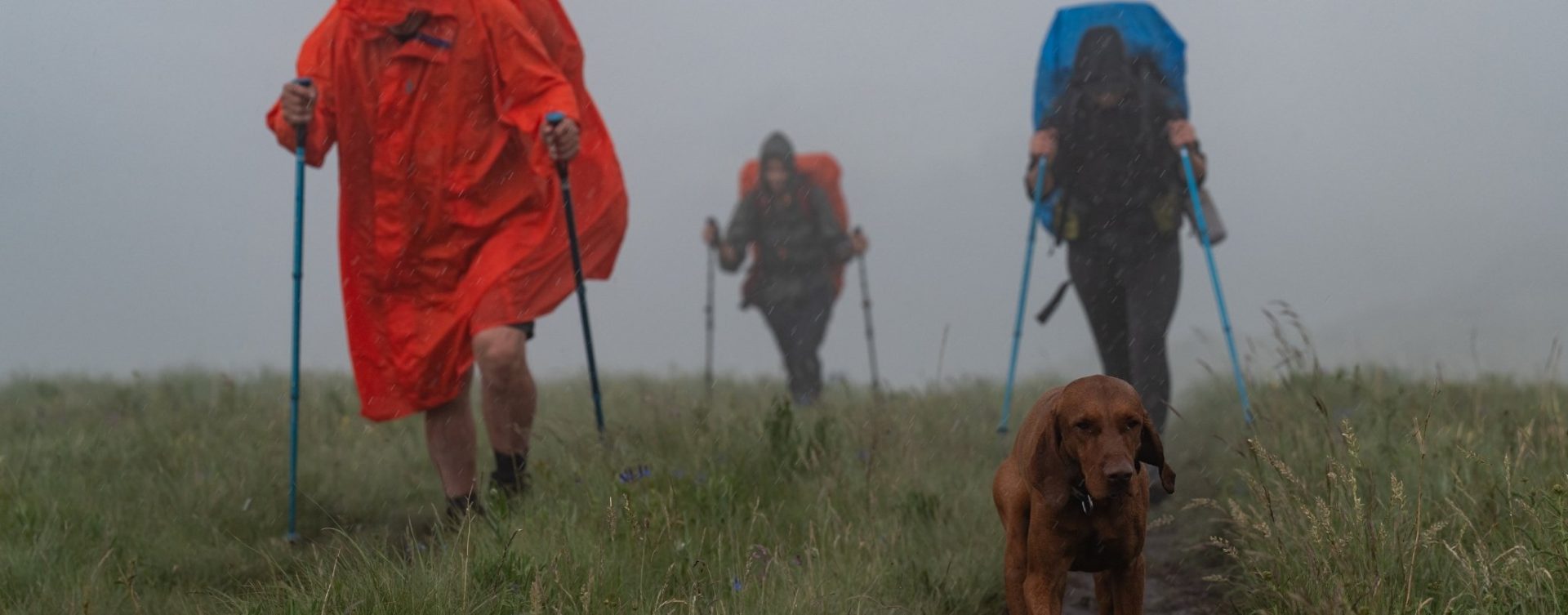 hiking in wet weather