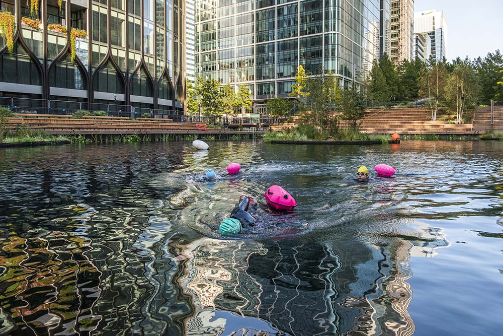 eden dock canary wharf for wild swimming