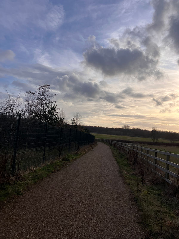 Worsley & RHS Bridgewater circular walk