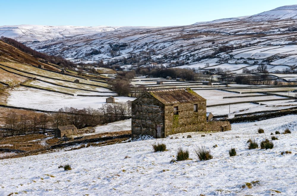 The barns at Angram above Muker in Swaledale