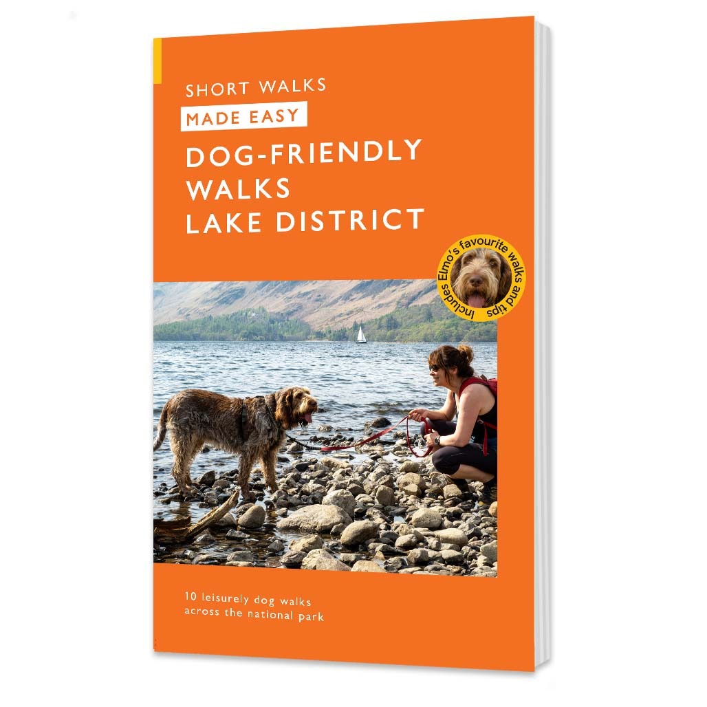 Dog Friendly Walks in the Lake District – OS Maps Discover